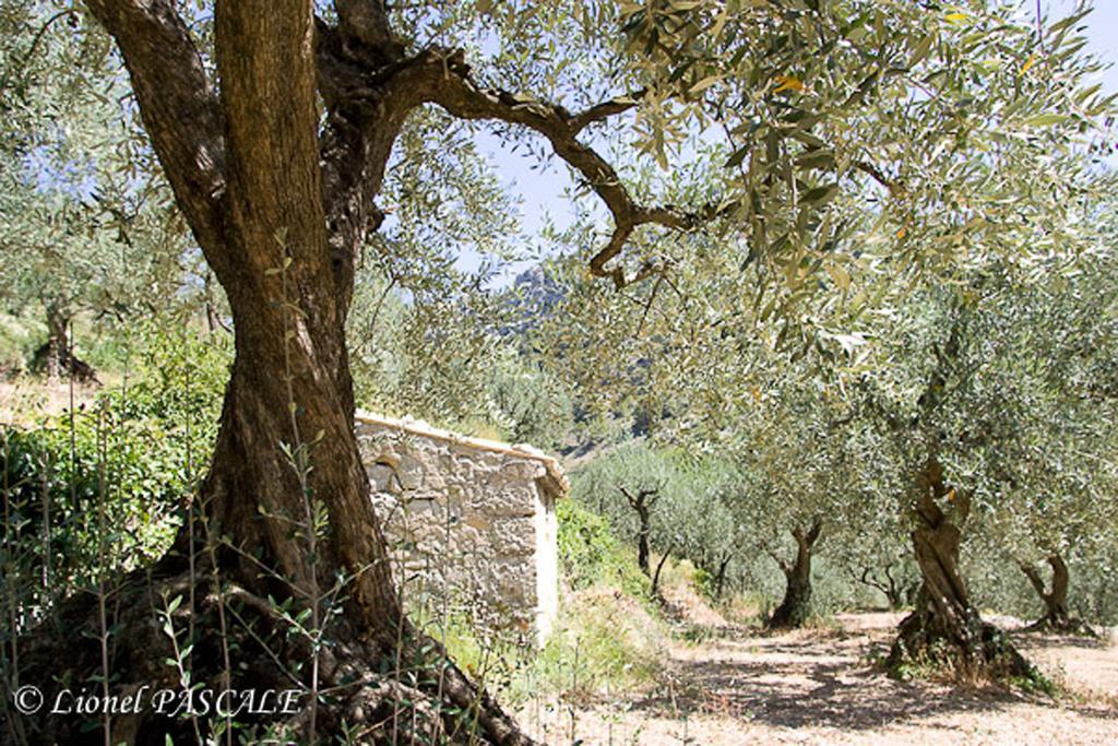 Gite Marius Mirabel-aux-Baronnies Exterior photo